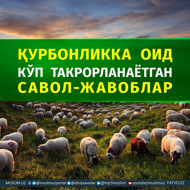 ҚУРБОНЛИККА ОИД КЎП ТАКРОРЛАНАЁТГАН САВОЛ-ЖАВОБЛАР