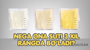 Нега она сути 3 хил рангда бўлади?