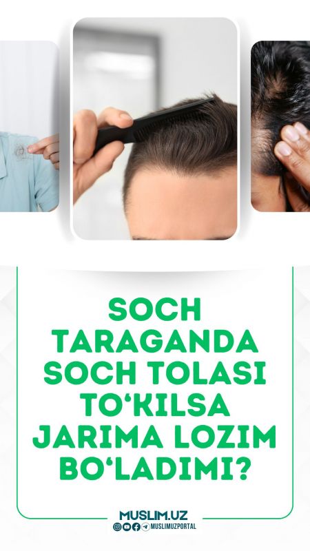 Soch taraganda soch tolasi to'kilsa jarima lozim bo'ladimi ?