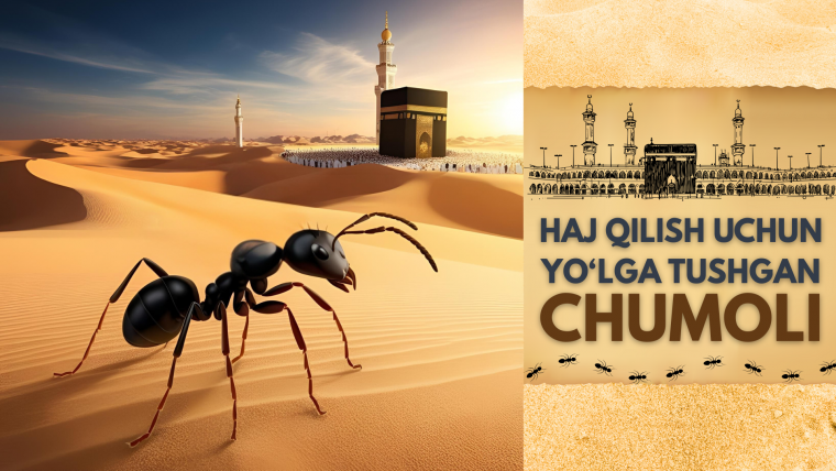  Ҳаж қилиш учун йўлга тушган чумоли
