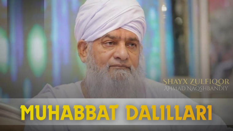 Muhabbat dalillari