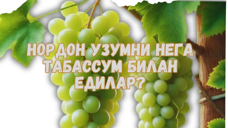 Нордон узумни нега табассум билан едилар?