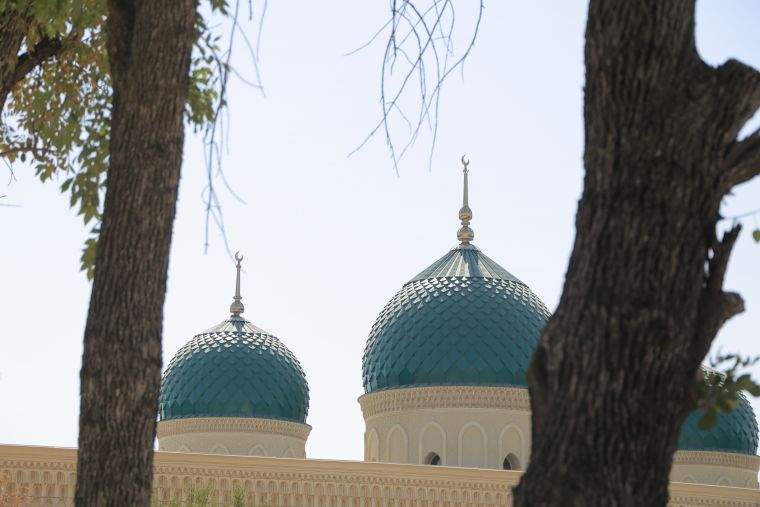 Qulog‘i belgi uchun kesilgan qo‘yni qurbonlik qilish mumkinmi?