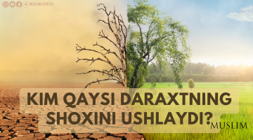 Kim qaysi daraxtning shoxini ushlaydi?