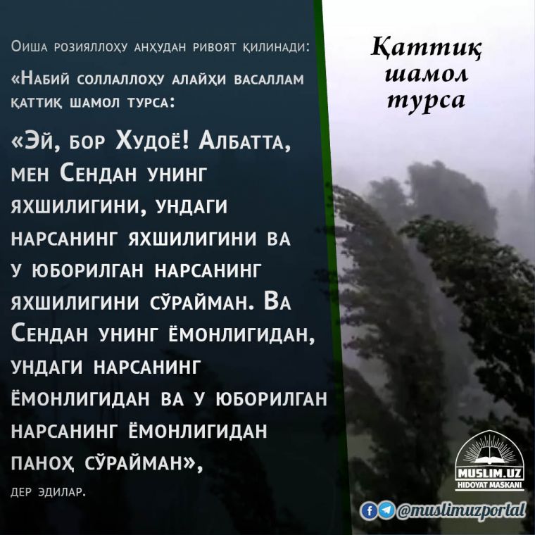 YOMG‘IR VA SHAMOL PAYTIDA AYTILADIGAN NARSALAR