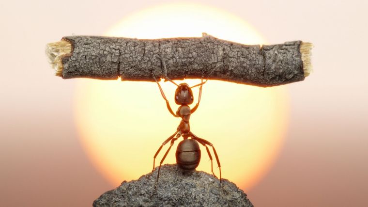 Xola va jiyan jinsiy aloqada Seksi oral seks film