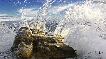 Одам алайҳиссалом билан Иблис алайҳи лаънанинг осийлиги ўртасидаги фарқ нимада эди?