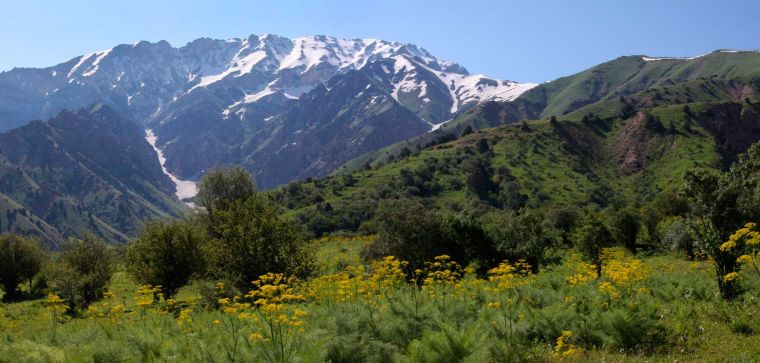 Ustrushana mintaqasidagi shahar va qishloqlar