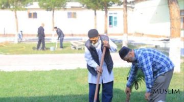В рамках общенационального проекта 