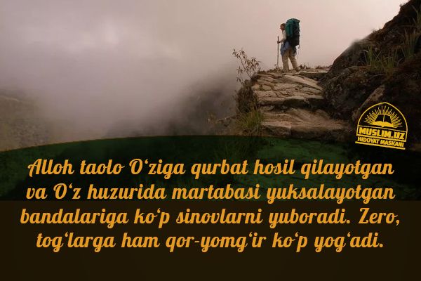 Nishonga urilgan gaplar – 2