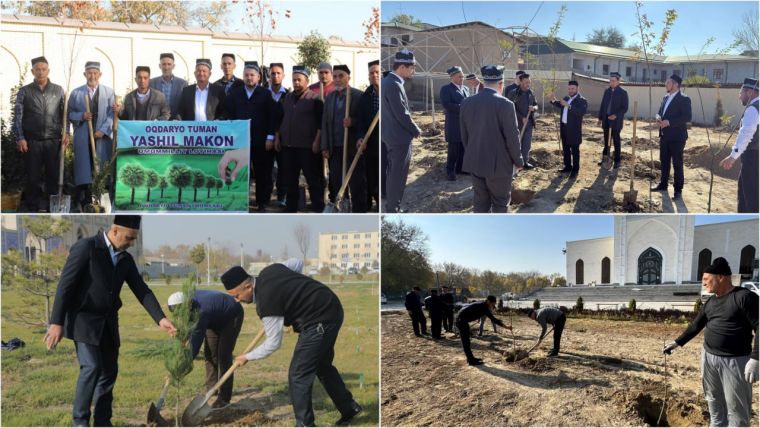 Masjidlar atrofida 33 mingga yaqin ko‘chat ekildi