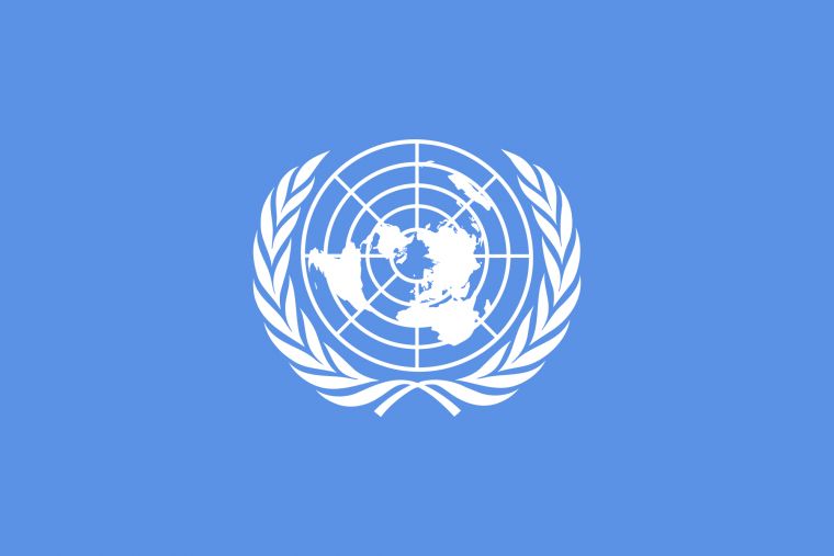 БИРЛАШГАН МИЛЛАТЛАР ТАШКИЛОТИ ВА ЎЗБЕКИСТОН