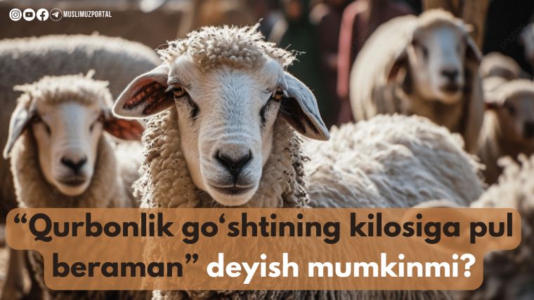 Qurbonlik hayvonini tiriklayin yoki so'ygandan keyin taroziga tortib narxini kelishish