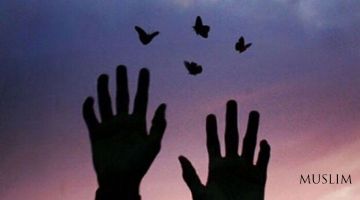 Тахминим тўғри чиқди, қанийди адашган бўлганимда!