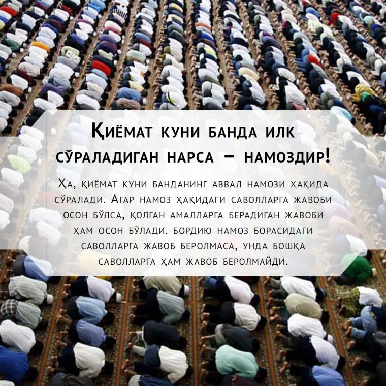 NAMOZNI VAQTIDA O‘QISH FARZ!