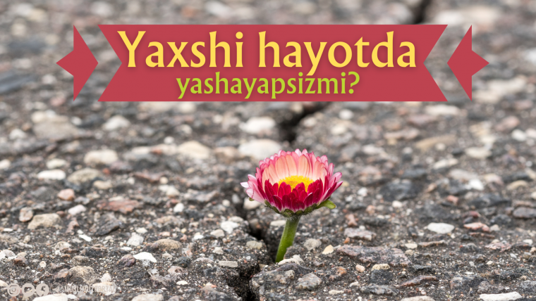 Yaxshi hayotda yashayapsizmi?