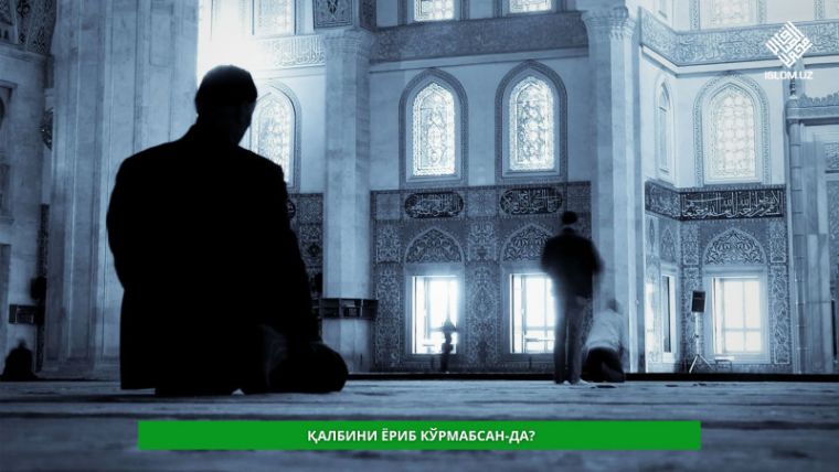 Qalbini yorib ko'rmabsan-da?