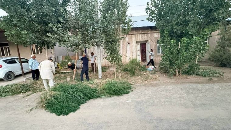 Озодалик кўнгилдан бошланади: Қорақалпоғистонда ободонлаштириш ишлари жадал олиб борилмоқда