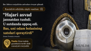 rasm
