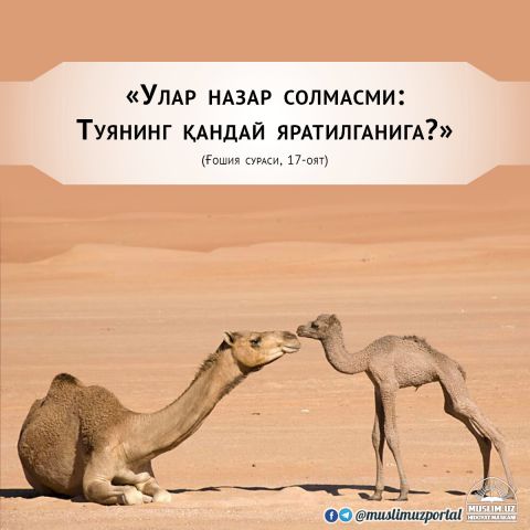 Yurtdagi jinsiy aloqa (Mogulcha porno video)