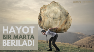 Ҳаёт бир марта берилади