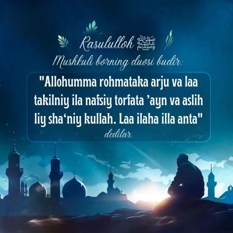 Men dostimdan uning mushukini suratga olishni soradim.