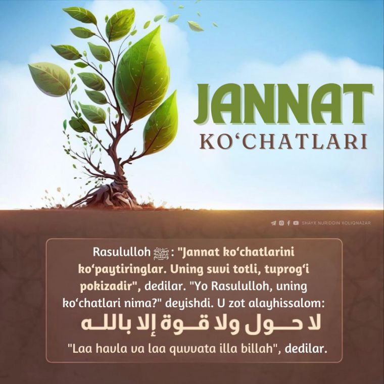 Jannatning ko‘chatlari