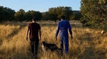 Африканские мусульмане возрождают испанскую глубинку