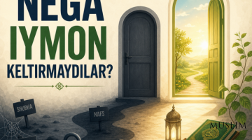 Нега иймон келтирмайдилар?
