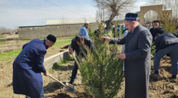  تصل أجور و ثواب زراعة الشتلات الى يوم القيامة