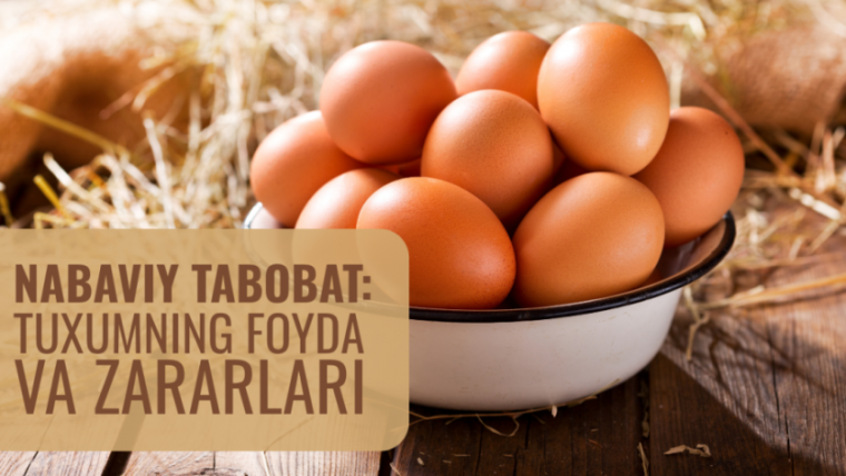 Nabaviy tabobat: Tuxumning foyda va zararlari