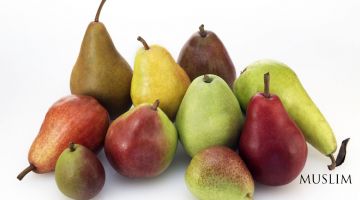 ЭЗГУЛИККА ИНТИЛИБ...