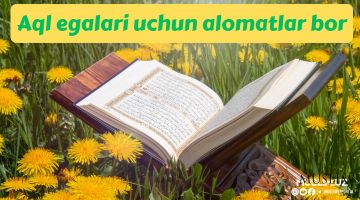 Aql yurgizadigan kishilar uchun alomatlar bordir