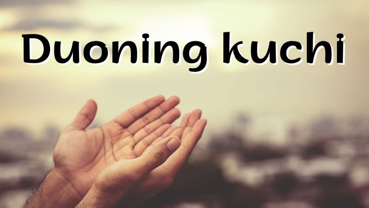 Duoning kuchi