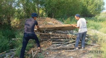 Озодалик кўнгилдан бошланади: Қорақалпоғистонда ободонлаштириш ишлари жадал олиб борилмоқда