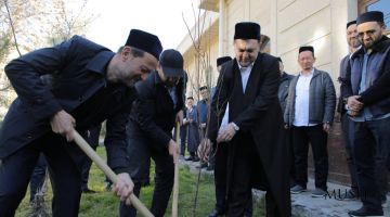 Отамиз одамдан меросдир бу иш