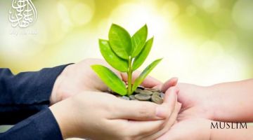 Сахийлик меҳр-оқибат демакдир