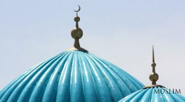 Сохта салафийлар ким-у, салафи солиҳлар ким?