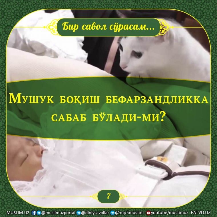 Eshakdagi gozal ayollar bilan jinsiy aloqa