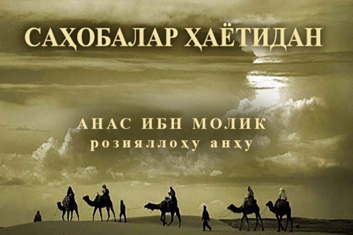 Voyaga etgan sochli porno