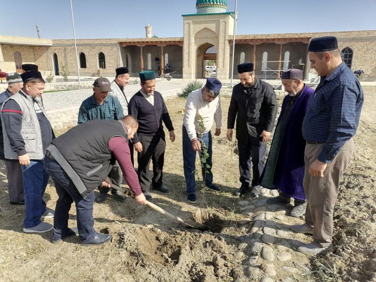 !دعونا ننشئ حديقة ونزين كراسة الاعمال