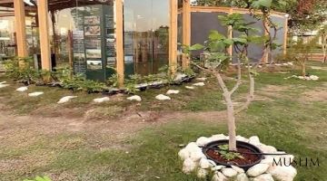 Стенд «Коранический сад» Катара был встречен публикой на выставке Doha Expo