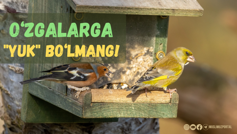 O‘zgalarga ortiqcha “yuk” bo‘lmang!