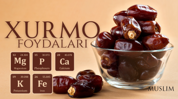 Xurmoning foydalari