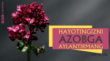 Hayotingizni azobga aylantirmang