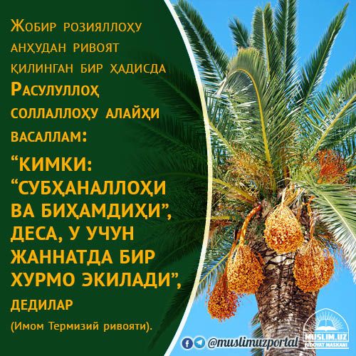 Daraxtlar jannat ne’matlaridan nishonadir