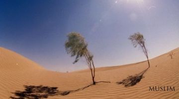 Абу Зуръа Розийнинг вафоти (Аудио)