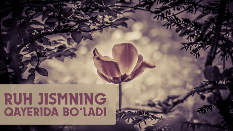 Руҳ жисмнинг қаерида бўлади?