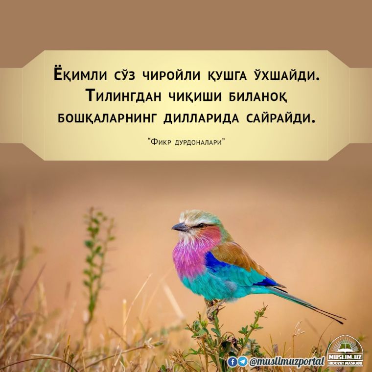 Нишонга урилган гаплар: “Дарахтга озор берадиган нарса болта эмас, балки болтанинг сопи ўша дарахтнинг шохидан эканидир”