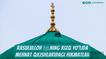 Rasululloh ﷺning rizq yo‘lida mehnat qilishlaridagi hikmatlar